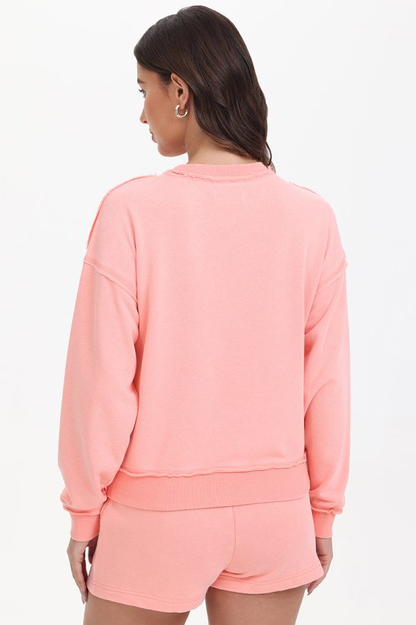 French Terry Embroidered Crewneck - Image 2