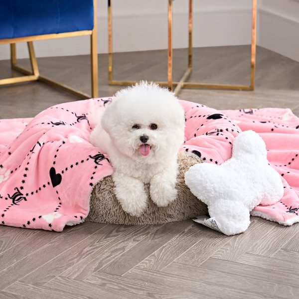Pet Blanket & Pillow Set - Image 2